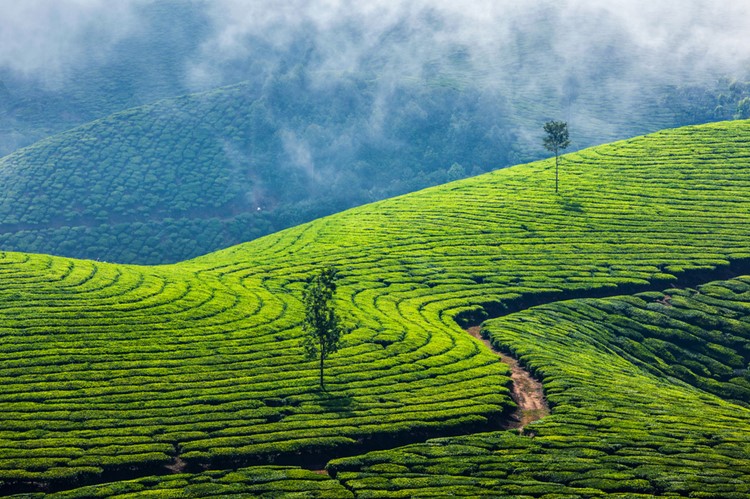 Munnar